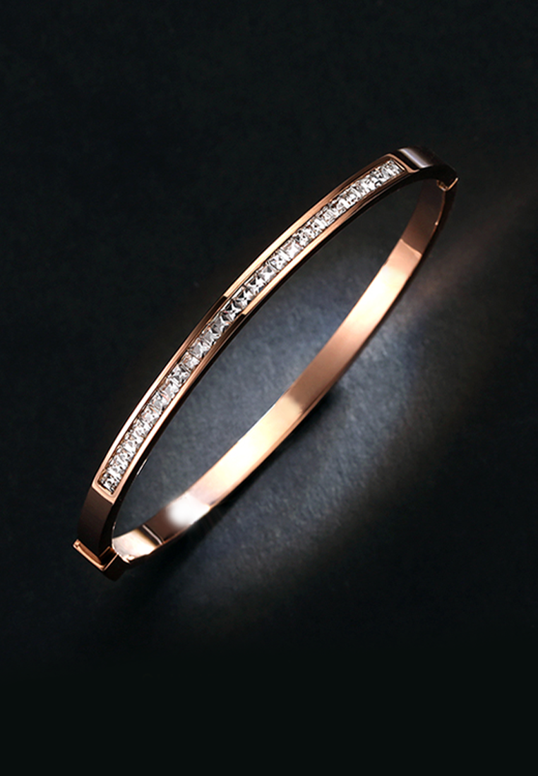 Arya Single Row Zirconia Bangle